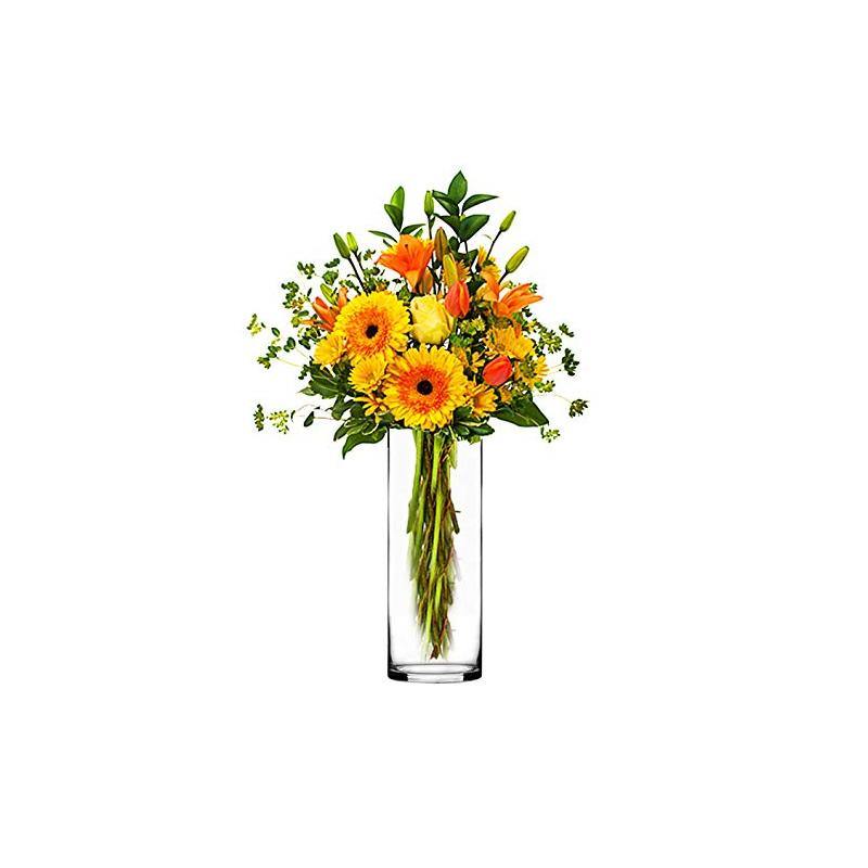 12 PCS Clear Glass Cylinder Vase D-4" H-12"