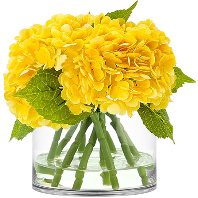 8 PCS Clear Glass Cylinder Vase D-7" H-6"