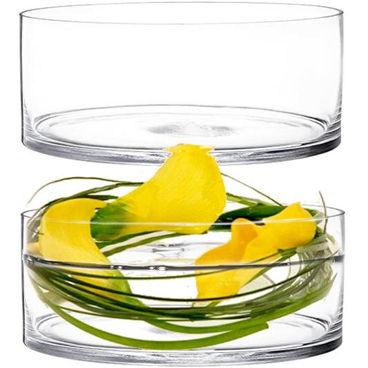 6 PCS Clear Glass Cylinder Vase D-10" H-4"